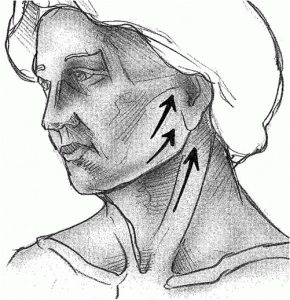 Facelift Dr. Kai Rezai